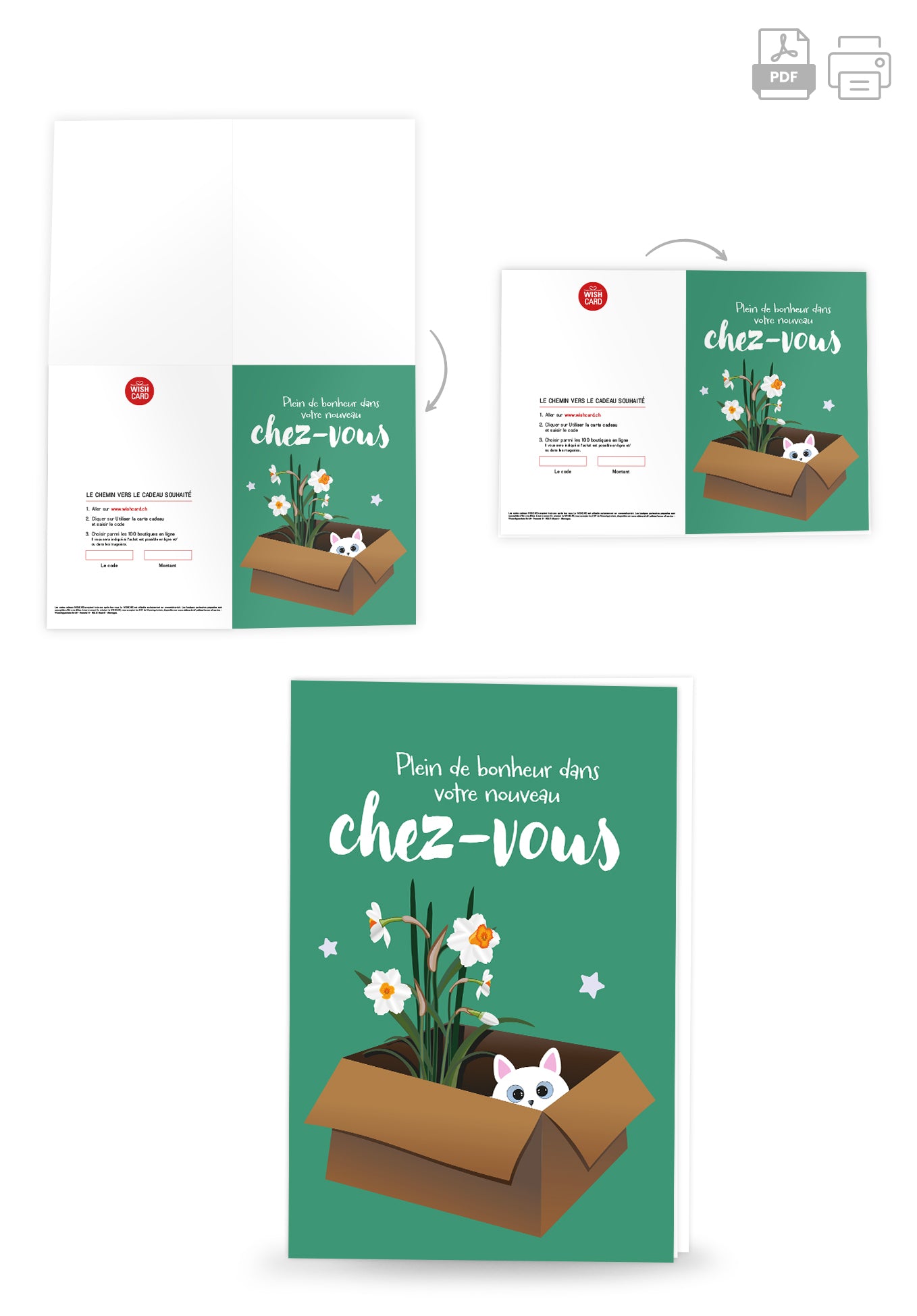Plein de bonheur dans votre chez-vous - Chat et fleur