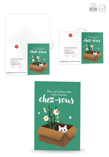 Plein de bonheur dans votre chez-vous - Chat et fleur