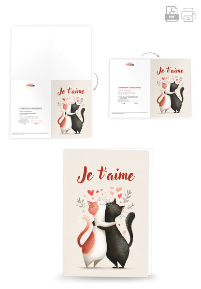 Je Taime - Les chats