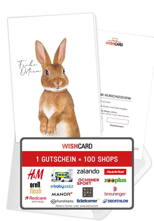 Frohe Ostern - Osterhase (Value)