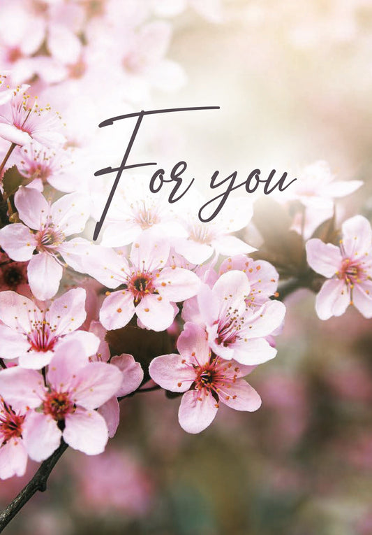 For you - Cherry Blossoms