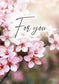 For you - Cherry Blossoms (Grado di valore)