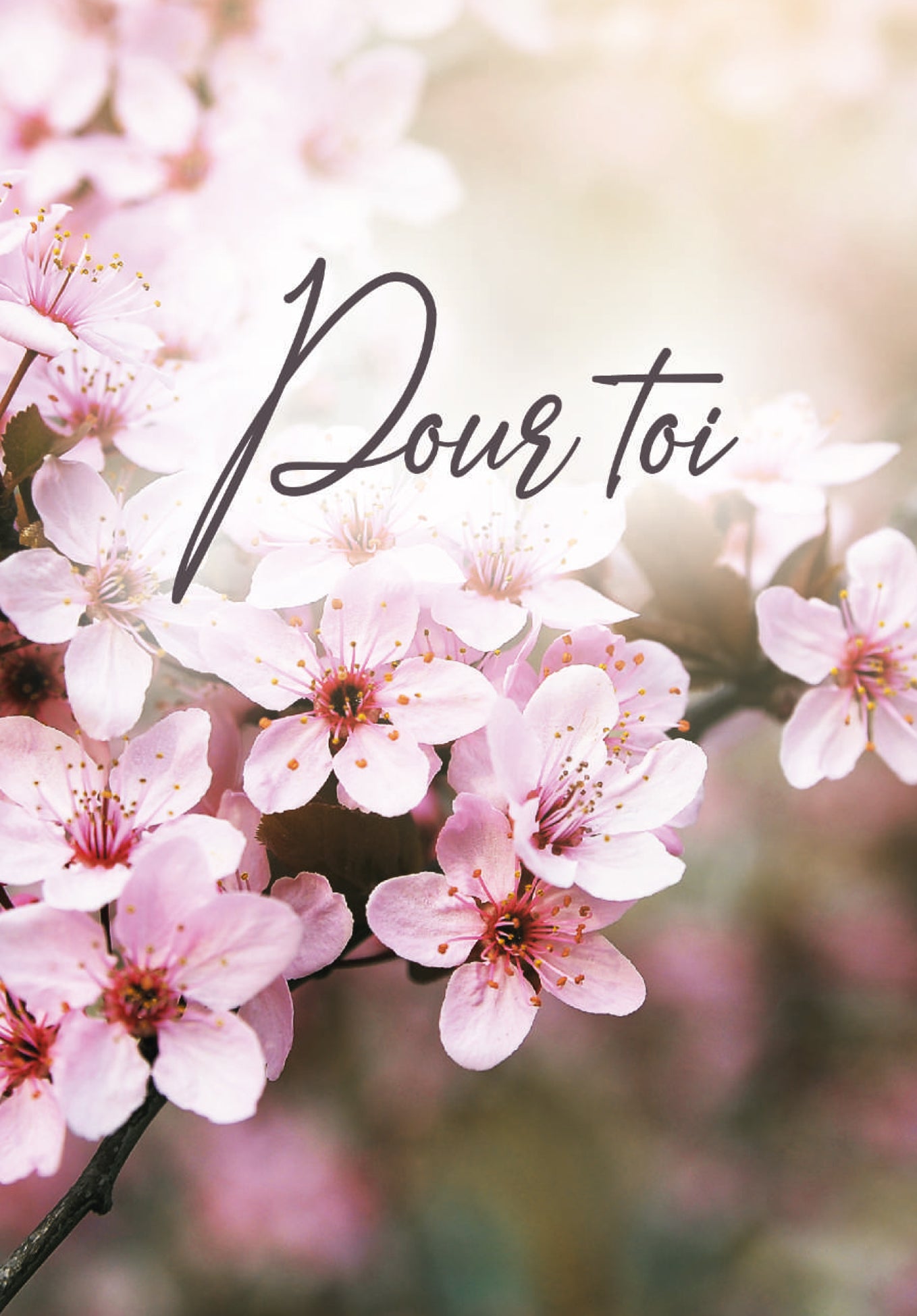 Pour toi - Fleurs de cerisier (Value)