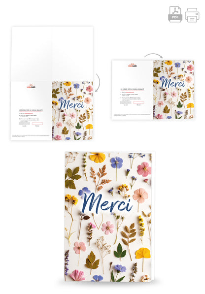 Merci - Fleurs séchées multicolores