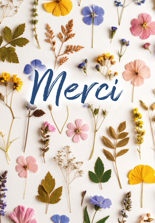 Merci - Fleurs séchées multicolores